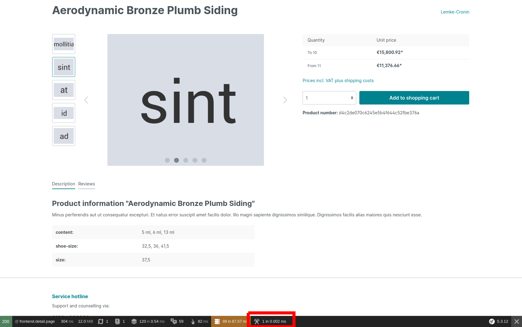 Symfony Debug Toolbar